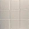 MAINZU Technical PT03702 KOALA 20 X 20