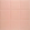 MAINZU Technical PT03697 MAKEUP 20 X 20