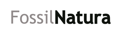 FOSSIL NATURA