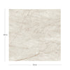 KTL Rain Forest CAR3RAIFCDPA White 120 X 120