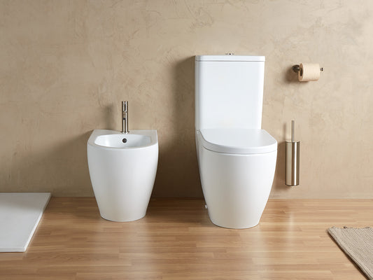 SANYCCES Arc Pack Inodoro y Cisterna WCC50165WM Blanco Mate