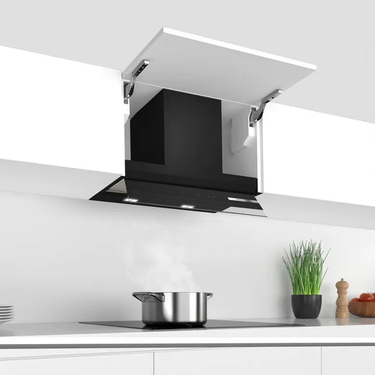 BOSCH CAMPANA INTEGRADA 60 DBB67AM60