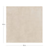 KTL Columbia Nanotech CAM7COLUBDPA Sand 100 X 100