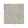KTL Gobi CA5FGOBIQDPA Natural 60 X 60
