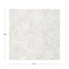 KTL Gobi CA5FGOBIPDQA Pearl 60 X 60