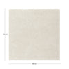 KTL Northon Pulido CABWNOROPPPA Almond 100 X 100