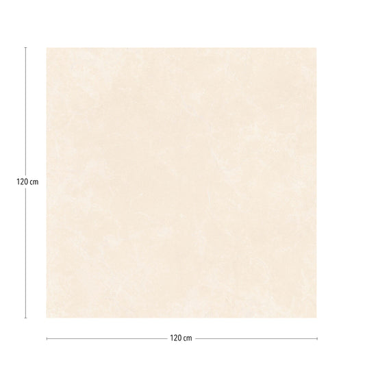 KTL Nova Pulido CAR7NOVAPPPA Cream 120 X 120