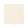 KTL Nova CAM7NOVAPDPA Cream 100 X 100