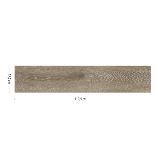 KTL Hagen CAH4HAGETDPA Toasted 23 X 120