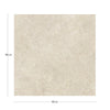 KTL Oregon  CAM7OREGPDPA Cream 100 X 100
