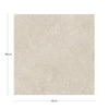 KTL Oregon  CAM7OREGODPA Ivory 100 X 100
