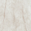KTL Rain Forest Polished CABWRAIFCPPA White 100 X 100