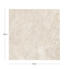 KTL Gobi CAM7GOBIPDPA Cream 100 X 100