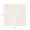 KTL Gobi CAM7GOBIODPA Ivory 100 X 100