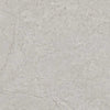 GRESPANIA Garona 81GN36R Pulido Gris 80 X 80