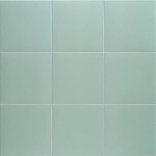 MAINZU Technical PT03703 ALOE 20 X 20