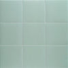 MAINZU Technical PT03703 ALOE 20 X 20