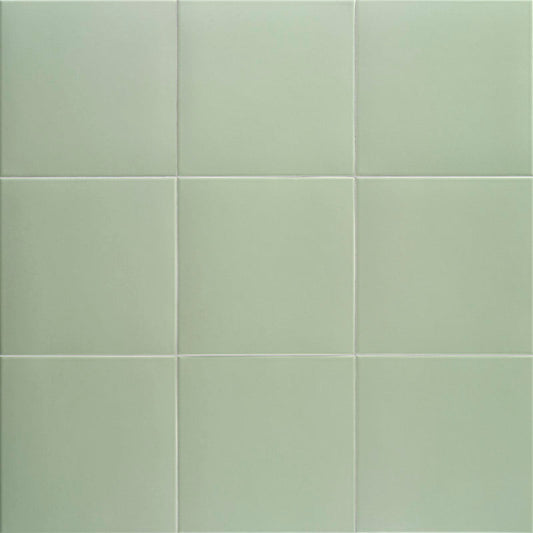 MAINZU Technical PT03699 BASIL 20 X 20