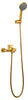 IMEX ROMA BDR001-4OC oro cepillado