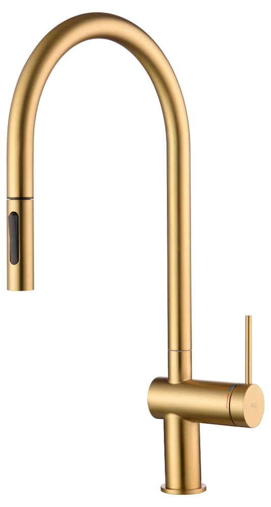 IMEX Berna GCE026/OC oro cepillado