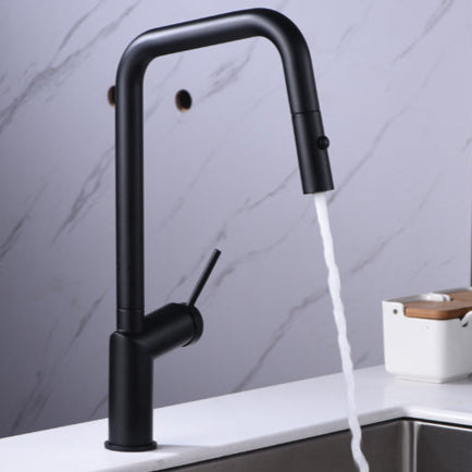 IMEX Bonn GCE024/NG negro