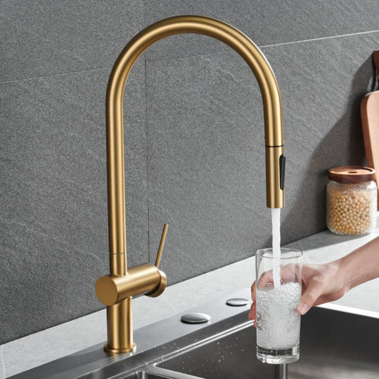 IMEX Berna GCE026/OC oro cepillado