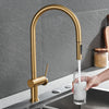 IMEX Berna GCE026/OC brushed gold