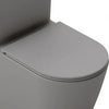 Fossil Natura Asiento GRIS MATE Tapa Duroplast Extraplana Amortiguada 03952