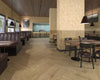 DUNE Quercus 189005 Miele 22 X 120