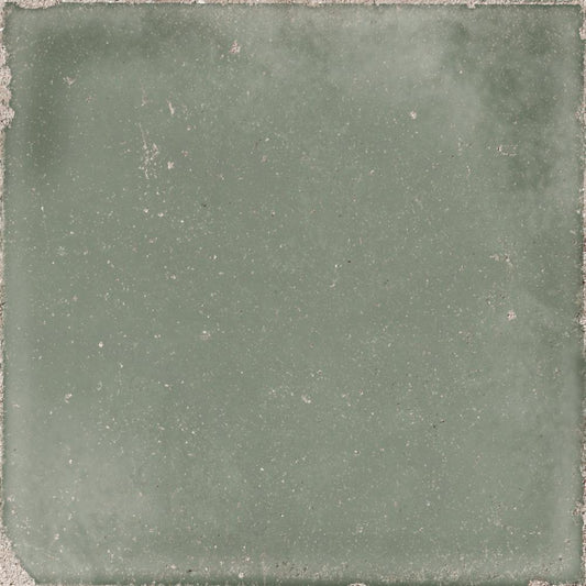 DUNE Atlantique 189158 Olive 20 X 20