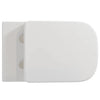 Fossil Natura Zen Inodoro Compacto 5099 Blanco Brillo