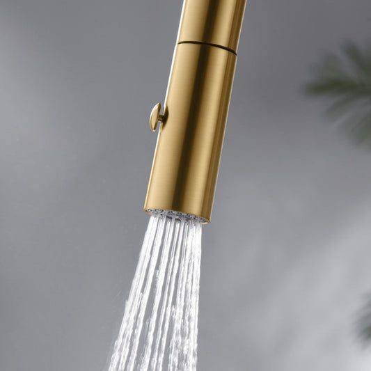 IMEX Bonn GCE024/OC oro cepillado