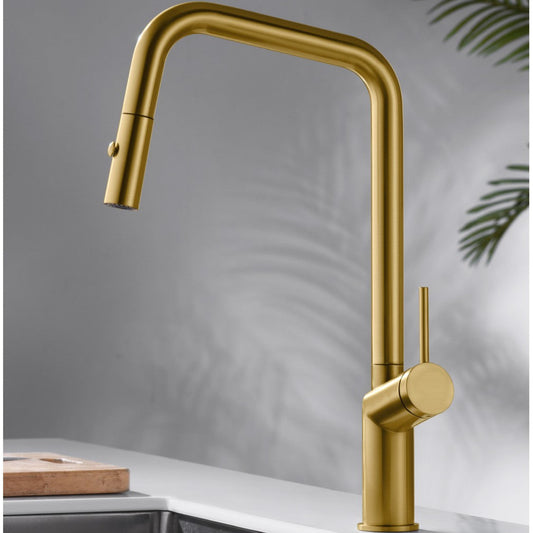 IMEX Bonn GCE024/OC oro cepillado