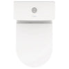 Fossil Natura Venecia 732 Pack Inodoro y Cisterna Blanco Brillo