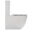 Fossil Natura Zen 5115 Pack Inodoro y Cisterna Blanco Mate