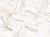 GRESPANIA Calacata Gold 52CL25P Pulido 60 X 60