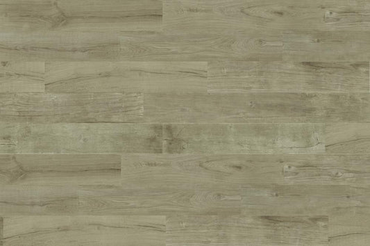 DUNE Quercus 189006 Antico 22 X 120