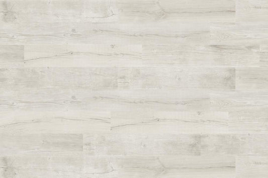 DUNE Quercus 189003 Betulla 22 X 120