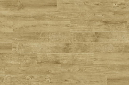DUNE Quercus 189005 Miele 22 X 120