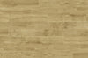 DUNE Quercus 189005 Miele 22 X 120