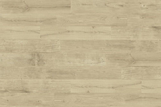 DUNE Quercus 189004 Naturale 22 X 120